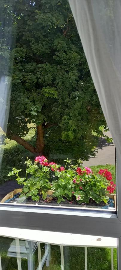 Ferienwohnung Na Lesnej Kowary Exterior foto